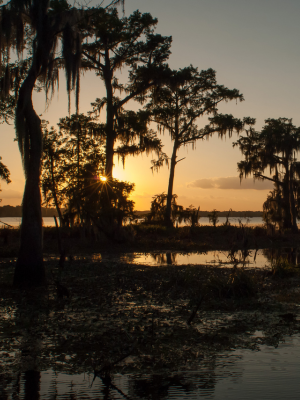 Action Realty Parish 3x4