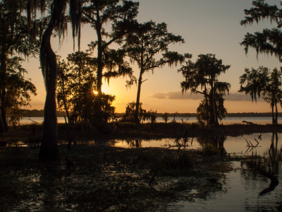 Action Realty Parish 4x3 (400 x 300 px)